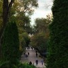 Ростовчане