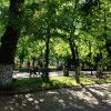 Май в парке Горького
