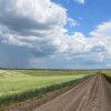 Дорога среди пшеничных полей и дождевых облаков