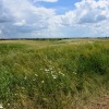 Степь ковыльная потаённая