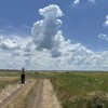 ковыльно-типчаковые степи