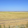 Долина Кундрючьей после уборки урожая