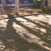 Листья утром в парке Горького