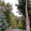Осень в парке Горького