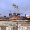 Нахичевань, старый дом
