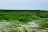Памятник природы разнотравно-типчаково-ковыльная степь в хуторе Заполосный