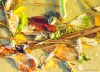 Лягушка в Дону среди осенних листьев