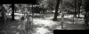 Гадюшник в парке им. Н. Островского в 60-х