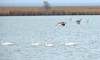 Весна на Весёловском водохранилище.