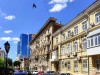 Голубь на Серафимовича