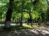 Май в парке Горького