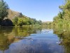 Белая скала на Калитве, водяной и старая гребля