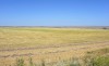 Долина Кундрючьей после уборки урожая