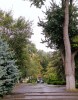 Осень в парке Горького