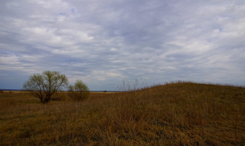 Редут у хутора Полушкин на берегу ерика Лагутник построенный во времена Крымской войны для защиты Ростова. Редут у хутора Полушкин на берегу ерика Лагутник построенный во времена Крымской войны для защиты Ростова.