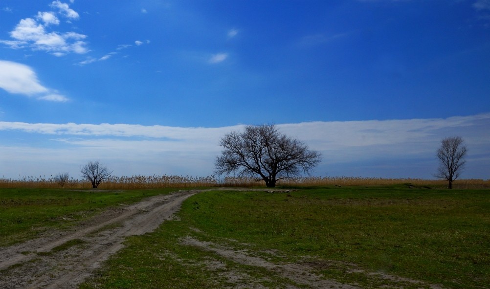 Редут у хутора Полушкин на берегу ерика Лагутник построенный во времена Крымской войны для защиты Ростова. Редут у хутора Полушкин на берегу ерика Лагутник построенный во времена Крымской войны для защиты Ростова.