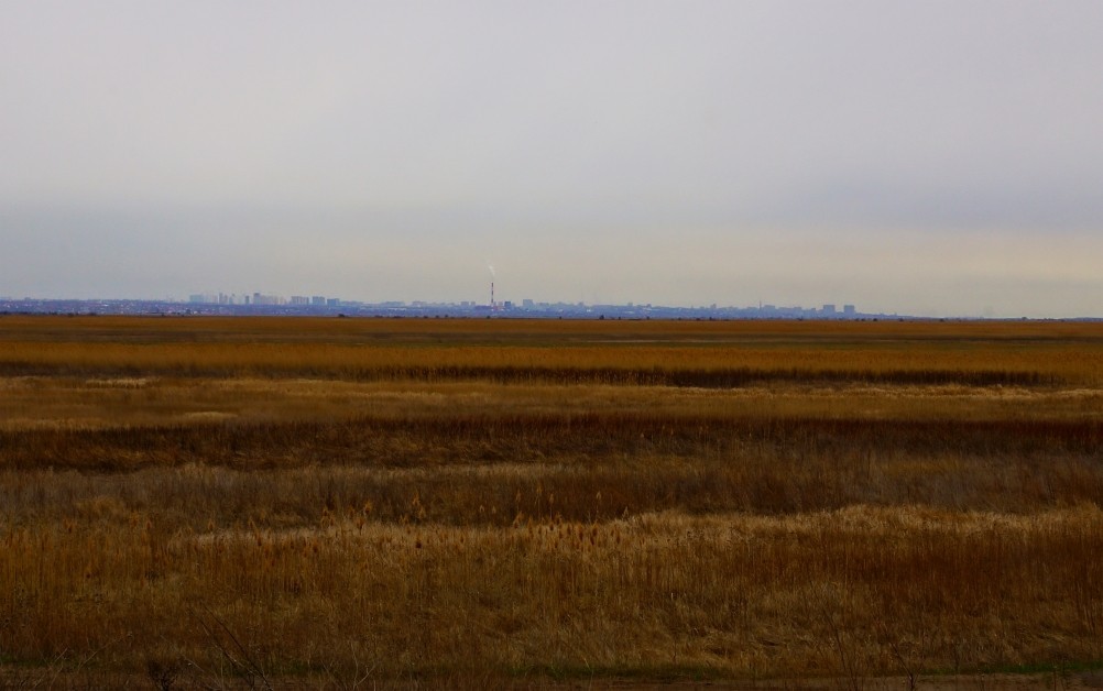 Редут у хутора Полушкин на берегу ерика Лагутник построенный во времена Крымской войны для защиты Ростова. Редут у хутора Полушкин на берегу ерика Лагутник построенный во времена Крымской войны для защиты Ростова.