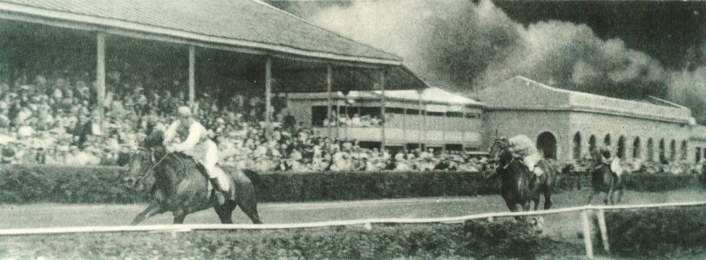 В краю донском, фотоальбом 1959 г. В краю донском, фотоальбом 1959 г.