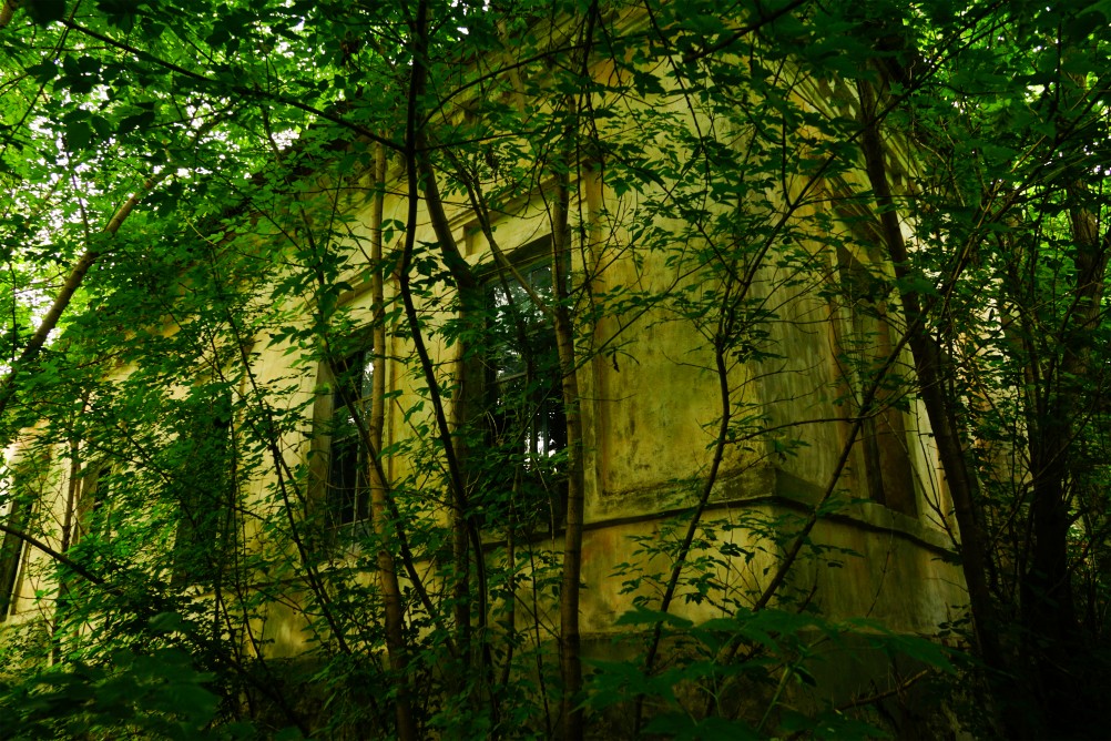 Дворянское гнездо в селе Позднеевка на берегу реки Ольховой