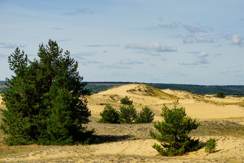 Большие Быковские Буруны