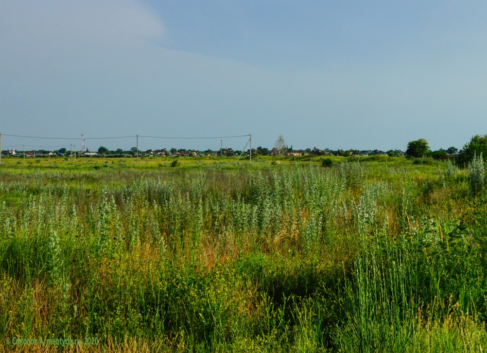 Бывшая школьная полеводческая бригада