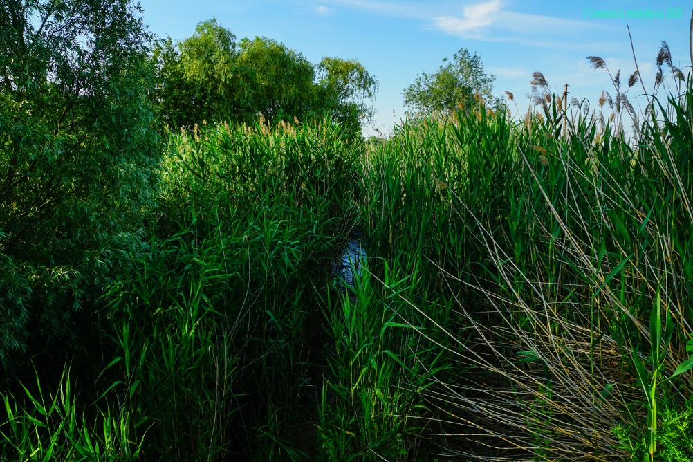Бывшая школьная полеводческая бригада