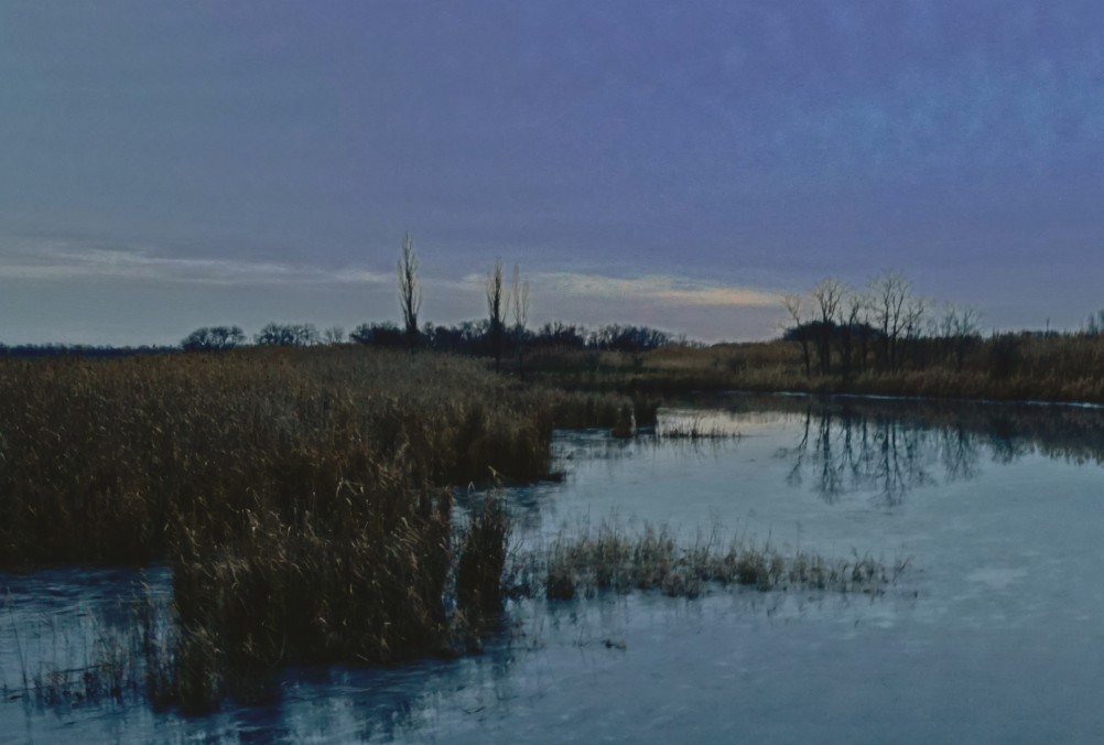 Январские сумерки на реке Мечетке