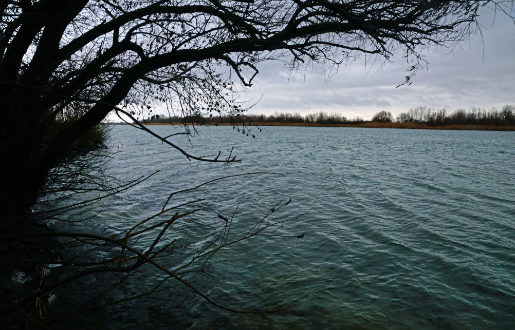 Дон в декабрьскую оттепель после морозов
