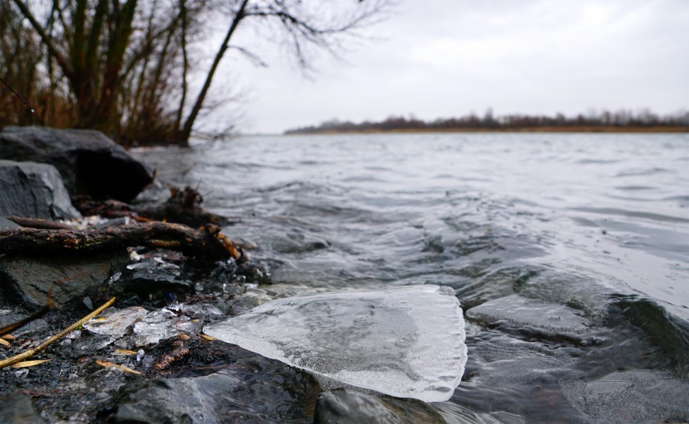 Дон в декабрьскую оттепель после морозов