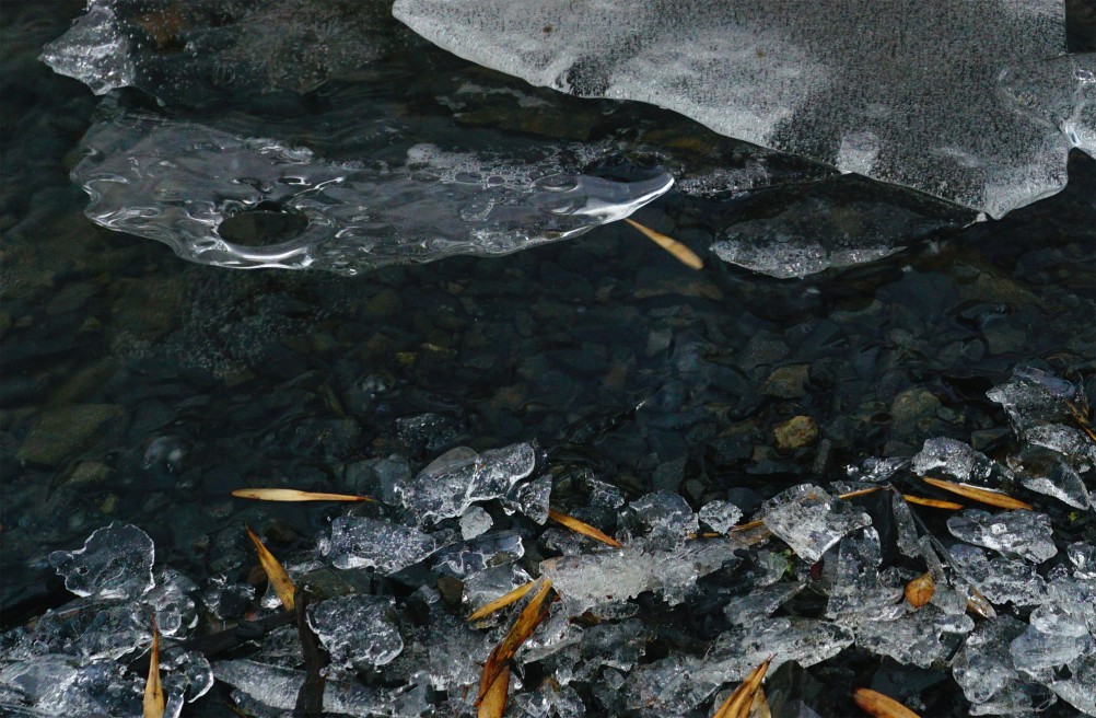 Дон в декабрьскую оттепель после морозов