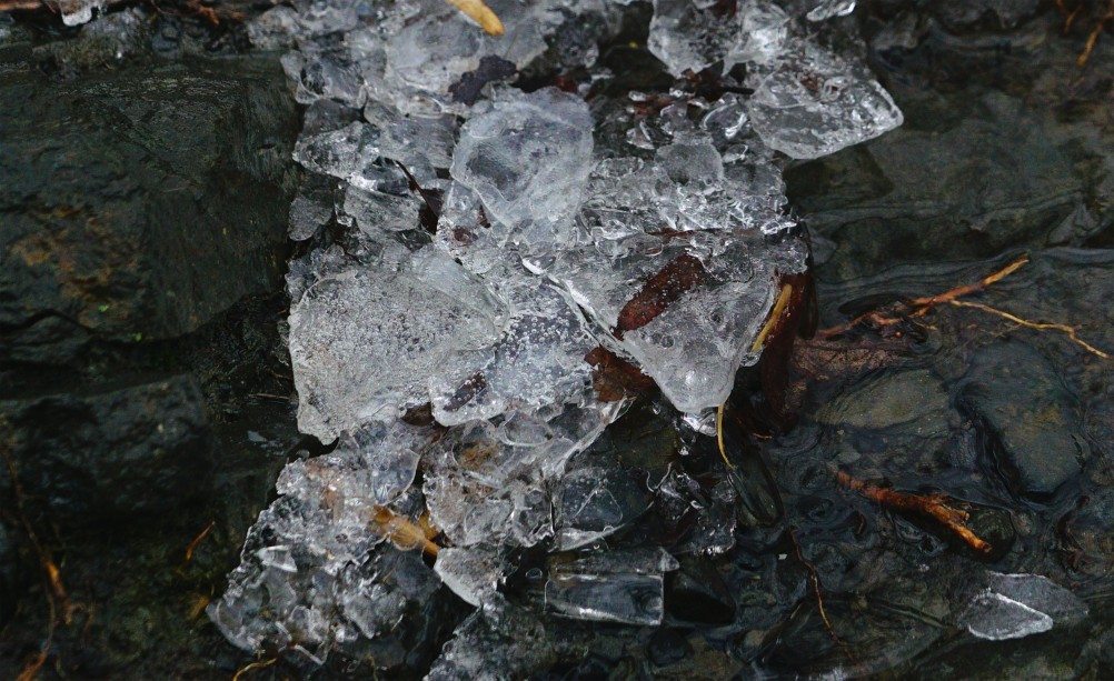 Дон в декабрьскую оттепель после морозов