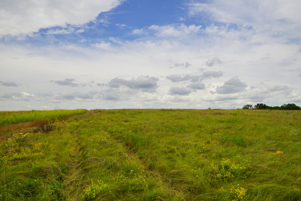 Прогулка по святилищу на поселении Яблоневое-1 на реке Кундрючь