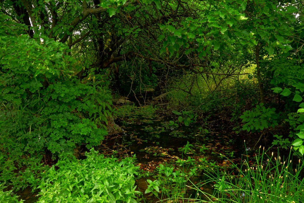 Прогулка по святилищу на поселении Яблоневое-1 на реке Кундрючь