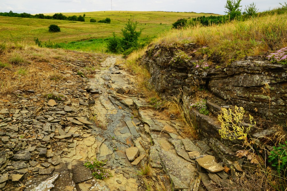 Прогулка по святилищу на поселении Яблоневое-1 на реке Кундрючь