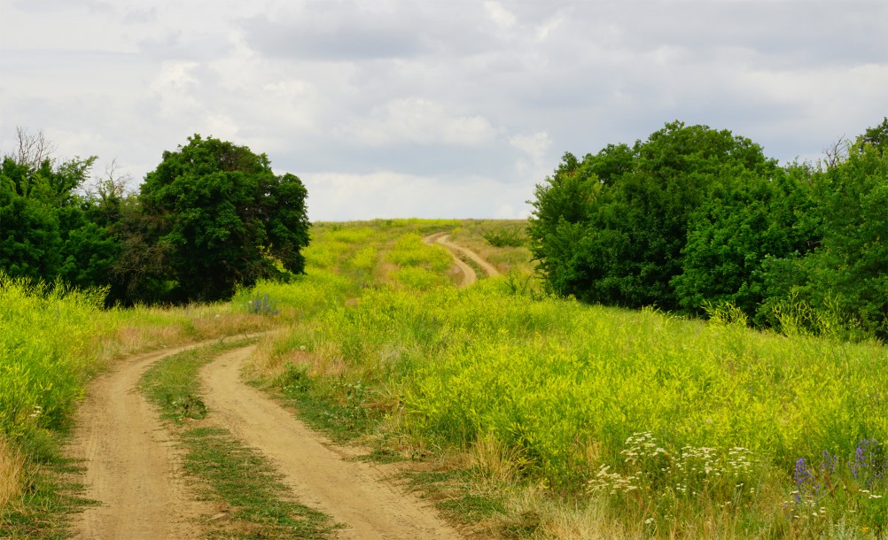 Прогулка по святилищу на поселении Яблоневое-1 на реке Кундрючь