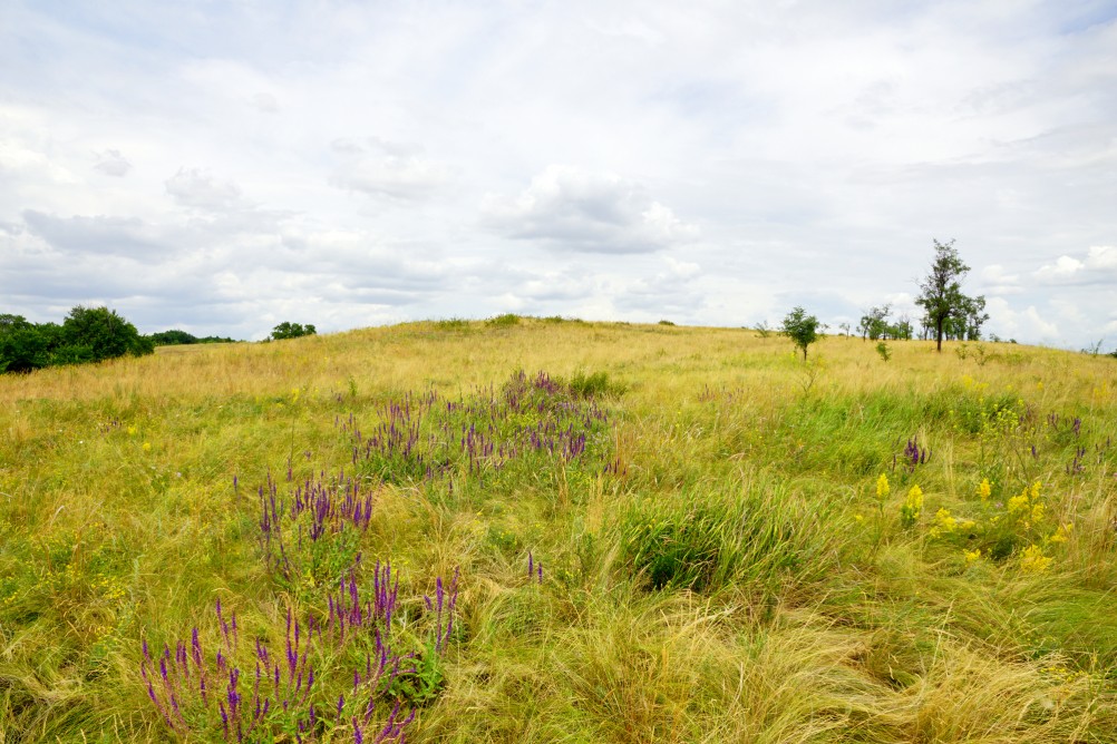 Прогулка по святилищу на поселении Яблоневое-1 на реке КундрючьПрогулка по святилищу на поселении Яблоневое-1 на реке Кундрючь