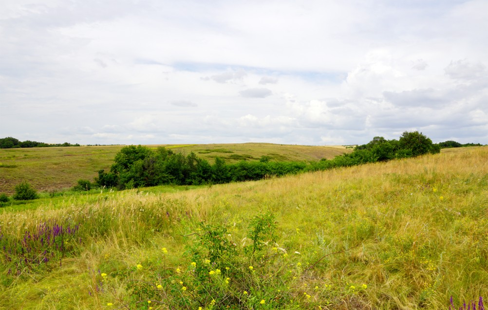 Прогулка по святилищу на поселении Яблоневое-1 на реке КундрючьПрогулка по святилищу на поселении Яблоневое-1 на реке КундрючьПрогулка по святилищу на поселении Яблоневое-1 на реке КундрючьПрогулка по святилищу на поселении Яблоневое-1 на реке КундрючьПрогулка по святилищу на поселении Яблоневое-1 на реке Кундрючь