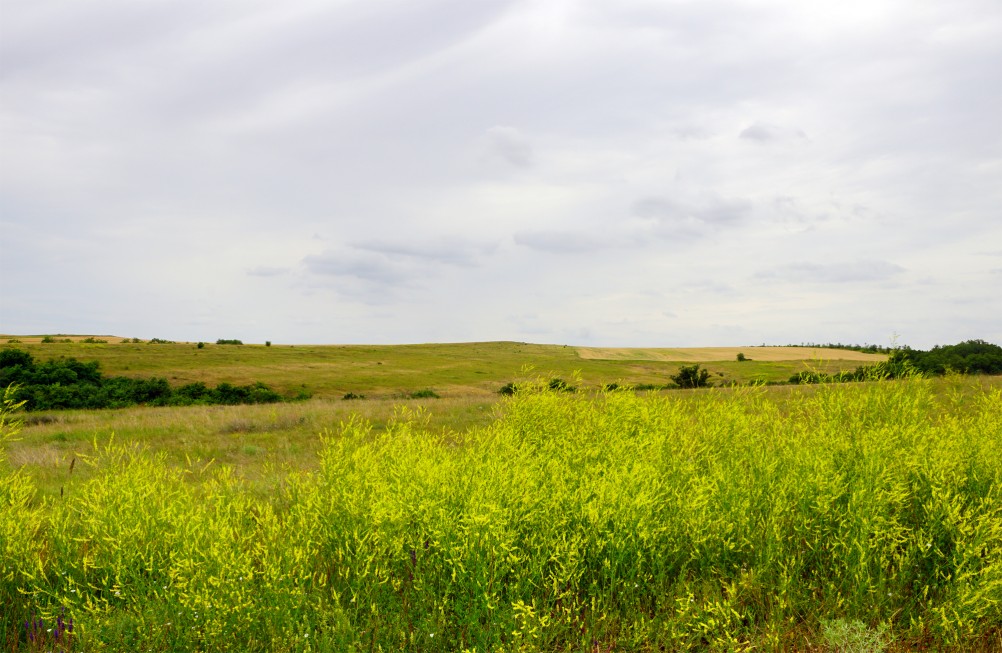 Прогулка по святилищу на поселении Яблоневое-1 на реке Кундрючь