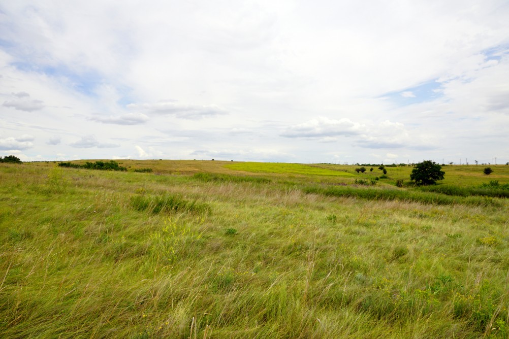 Прогулка по святилищу на поселении Яблоневое-1 на реке Кундрючь