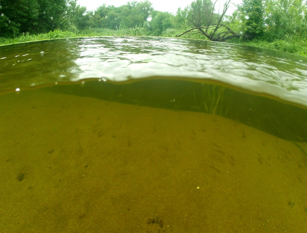 Путешествие по реке Калитве по земле и под водой.