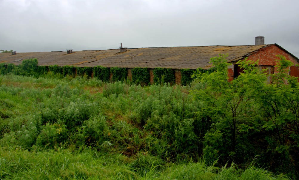 Путешествие очень дождливым маем, по правобережью Северского Донца
