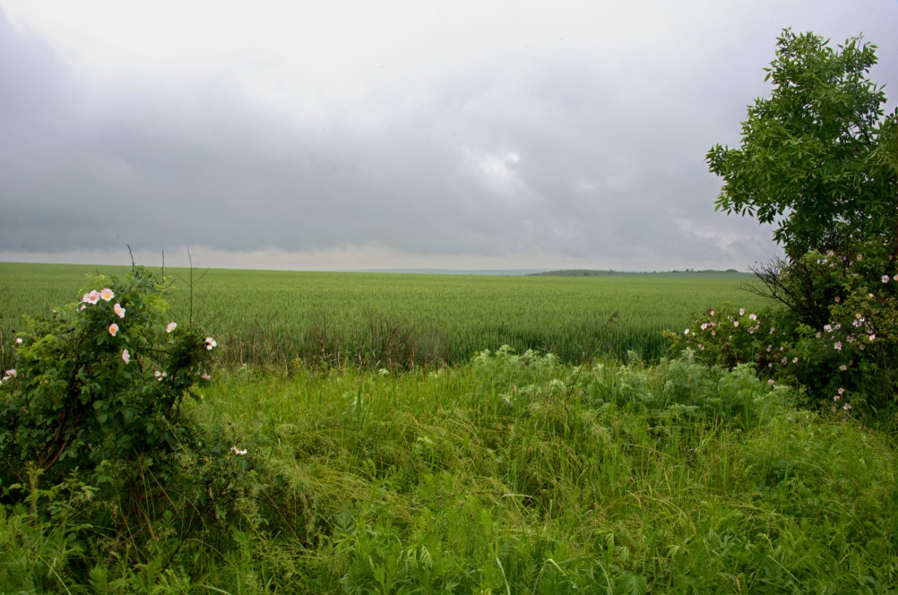 Путешествие очень дождливым маем, по правобережью Северского Донца