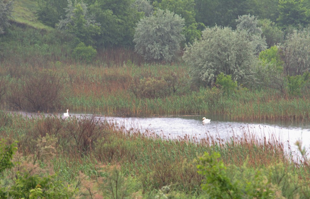 Путешествие очень дождливым маем, по правобережью Северского Донца