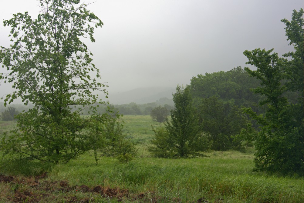 Путешествие очень дождливым маем, по правобережью Северского Донца