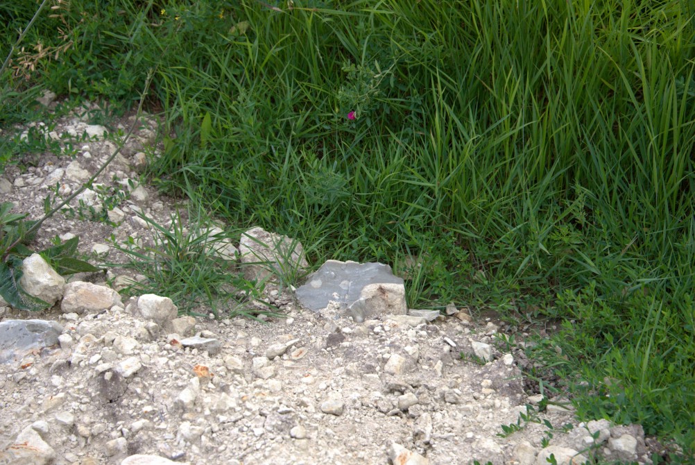 Памятник каменного века Бирючья балка